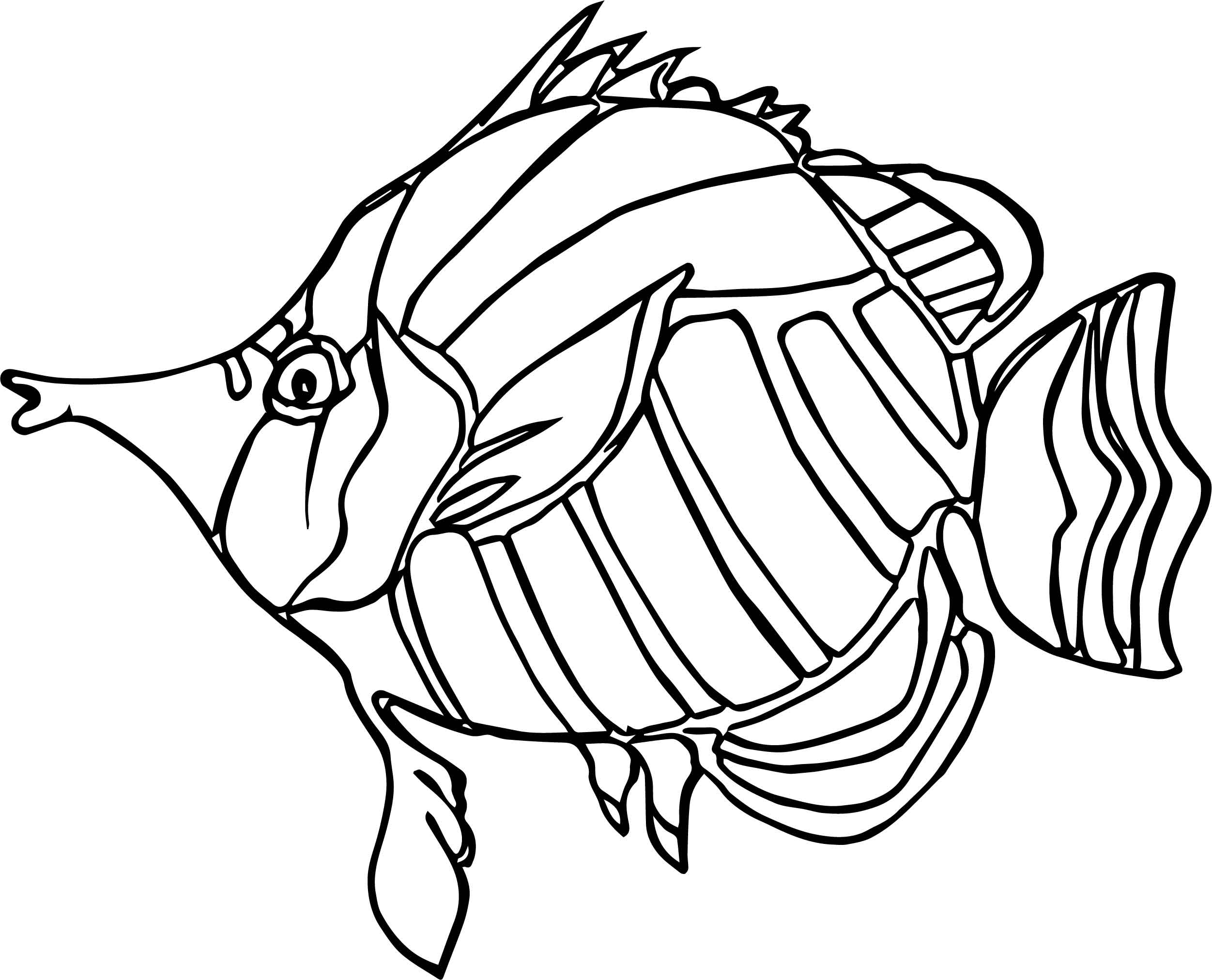 2503x2024 New Angel Fish Coloring Page Nice Coloring Pages For You