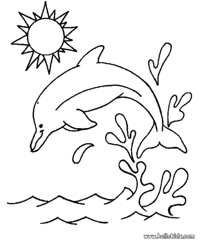 700x850 Coloring Pages Dolphins