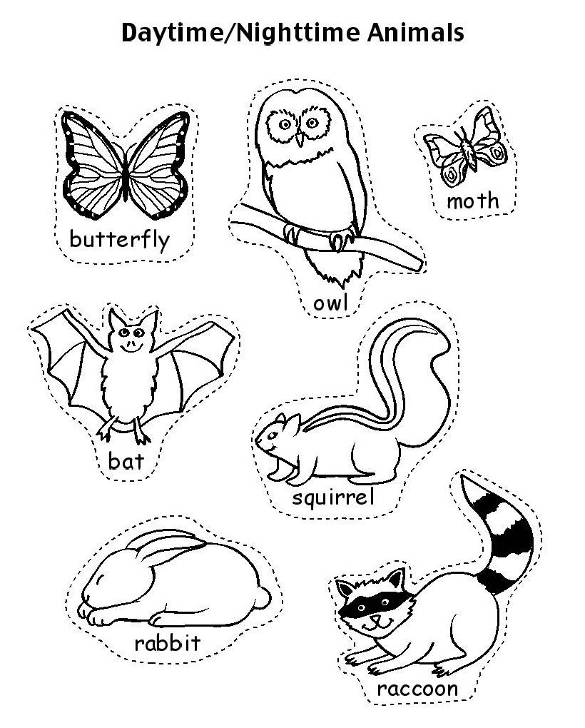 820x1020 Pictures Of Nocturnal Animals Az Coloring Pages Coloring Pages