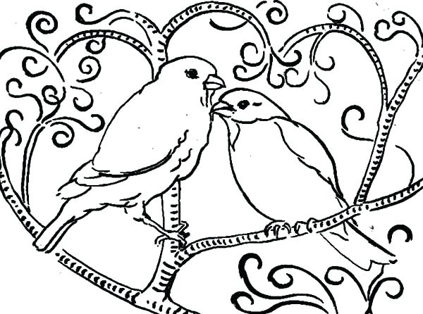 600x446 Free Tweety Bird Coloring Pictures Bird Coloring Page Cool Bird