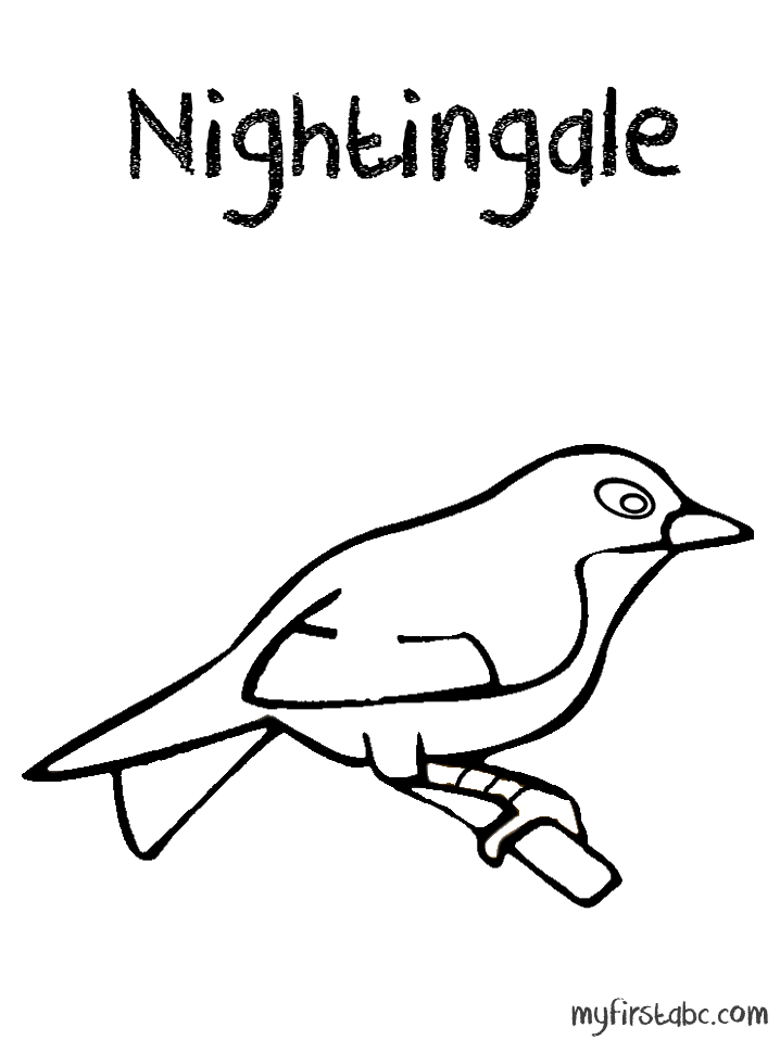 718x958 Nightingale Coloring Page