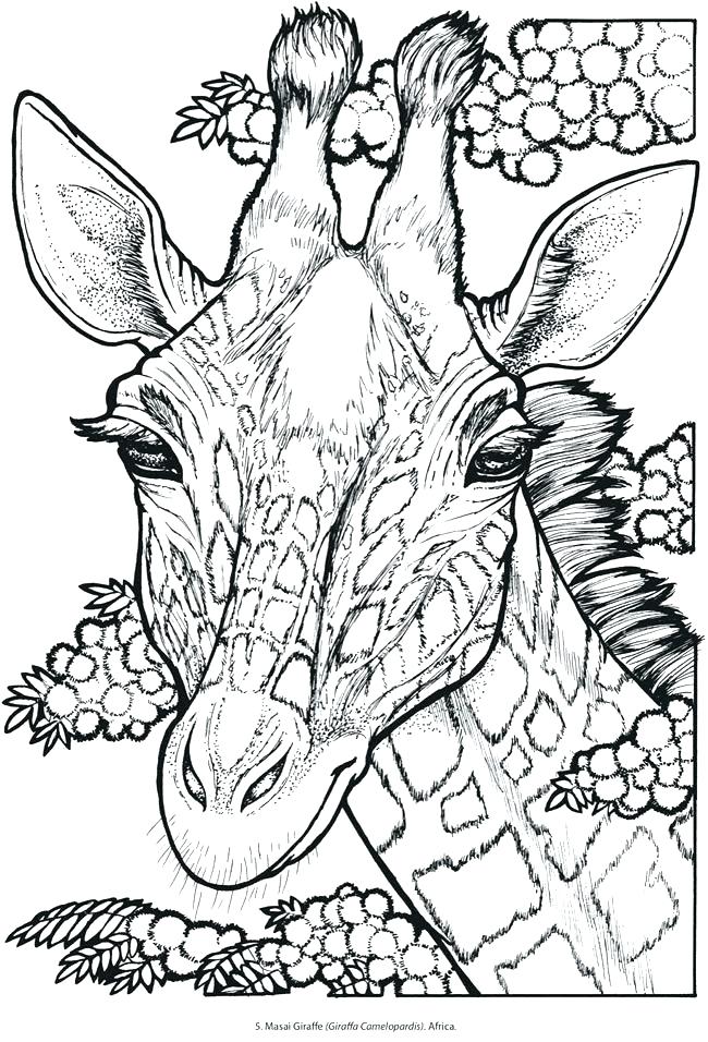 650x956 Printable Coloring Sheets Of Animals Free Coloring Pages Animals