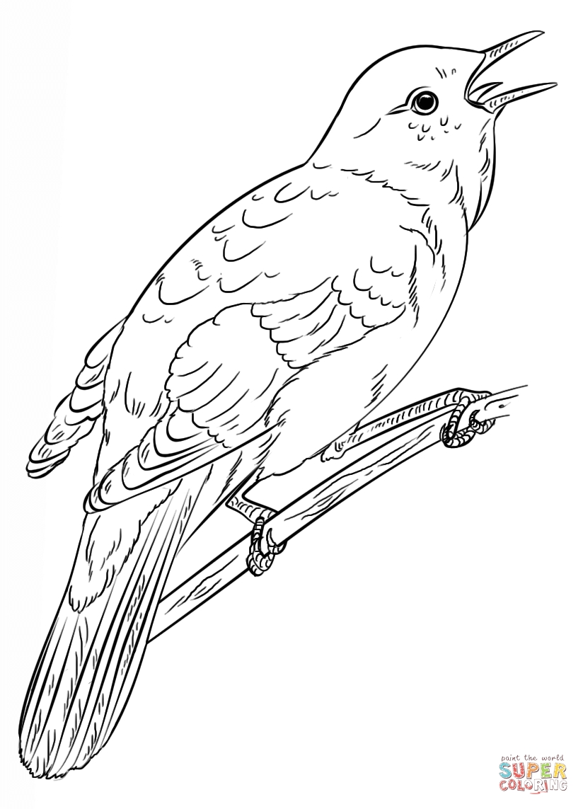 824x1143 Best Of Nightingales Coloring Pages Gallery Printable Coloring Sheet