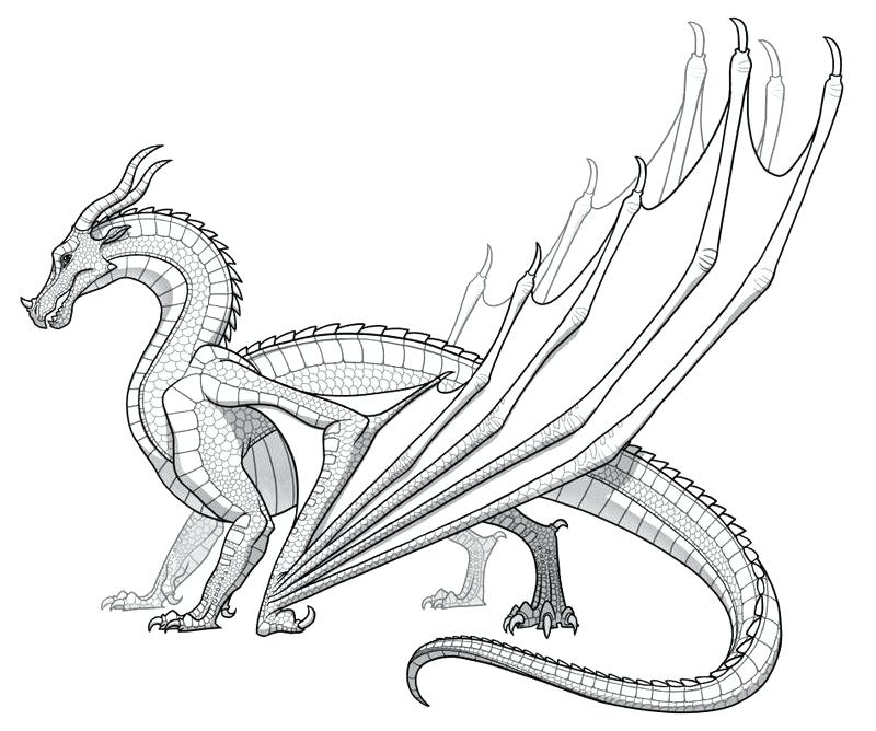 800x668 Wings Of Fire Nightwing Coloring Pages Dragon Printable