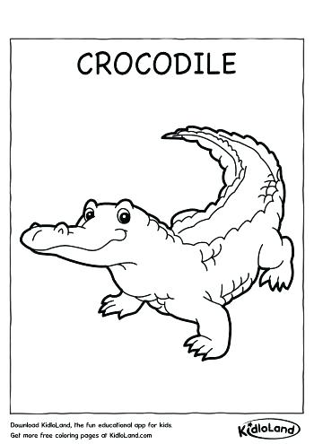 350x495 Crocodile Coloring Pages Crocodile Coloring Pages Saltwater