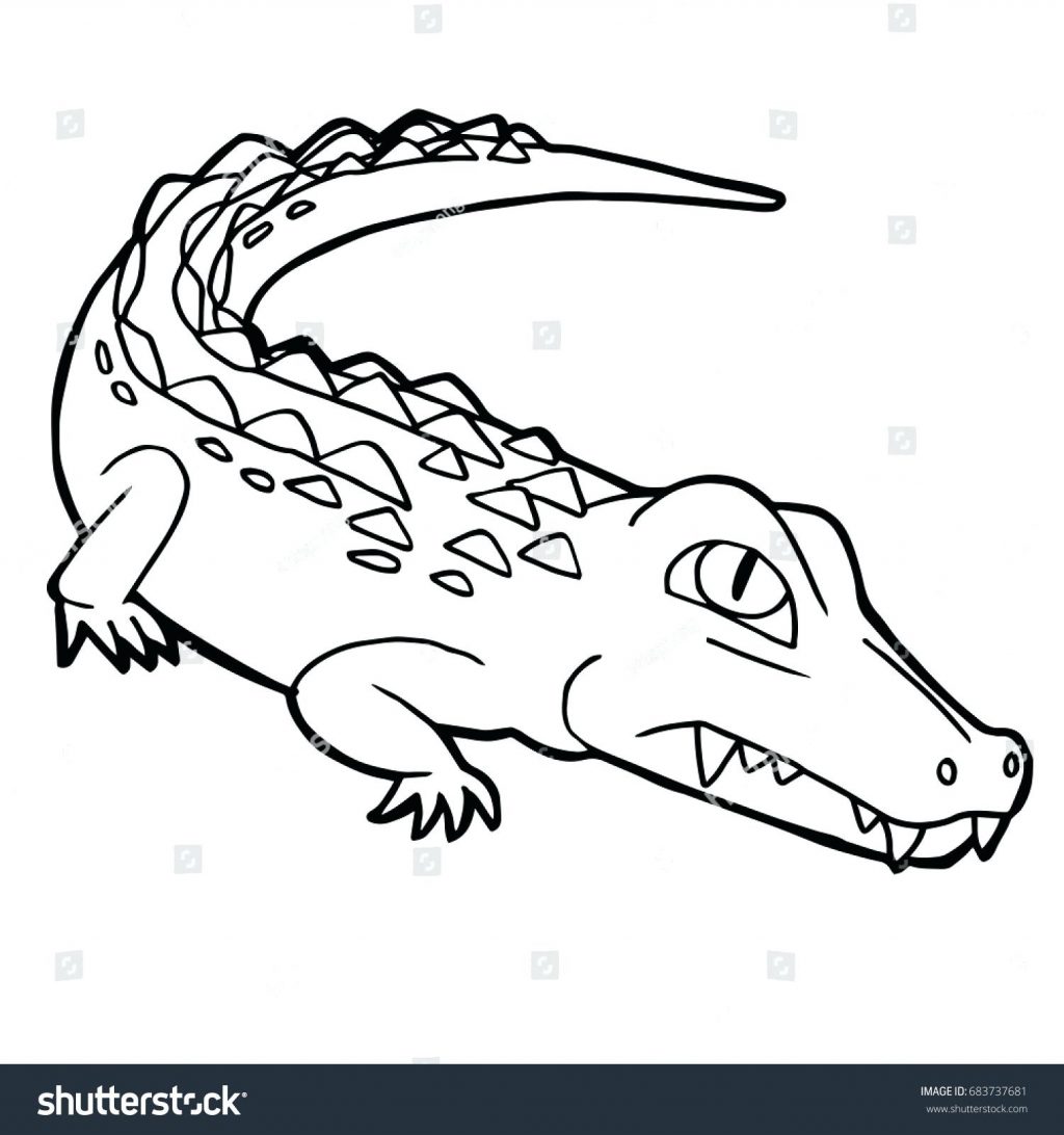 Nile Crocodile Coloring Page at GetDrawings | Free download