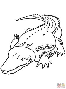 225x300 Crocodile Download For Coloring Page