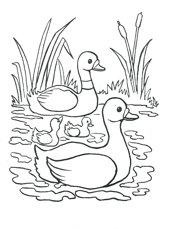 595x794 Coloring Page River Color