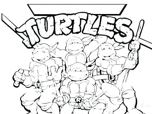 500x374 Free Printable Turtle Coloring Pages Printable Turtle Coloring