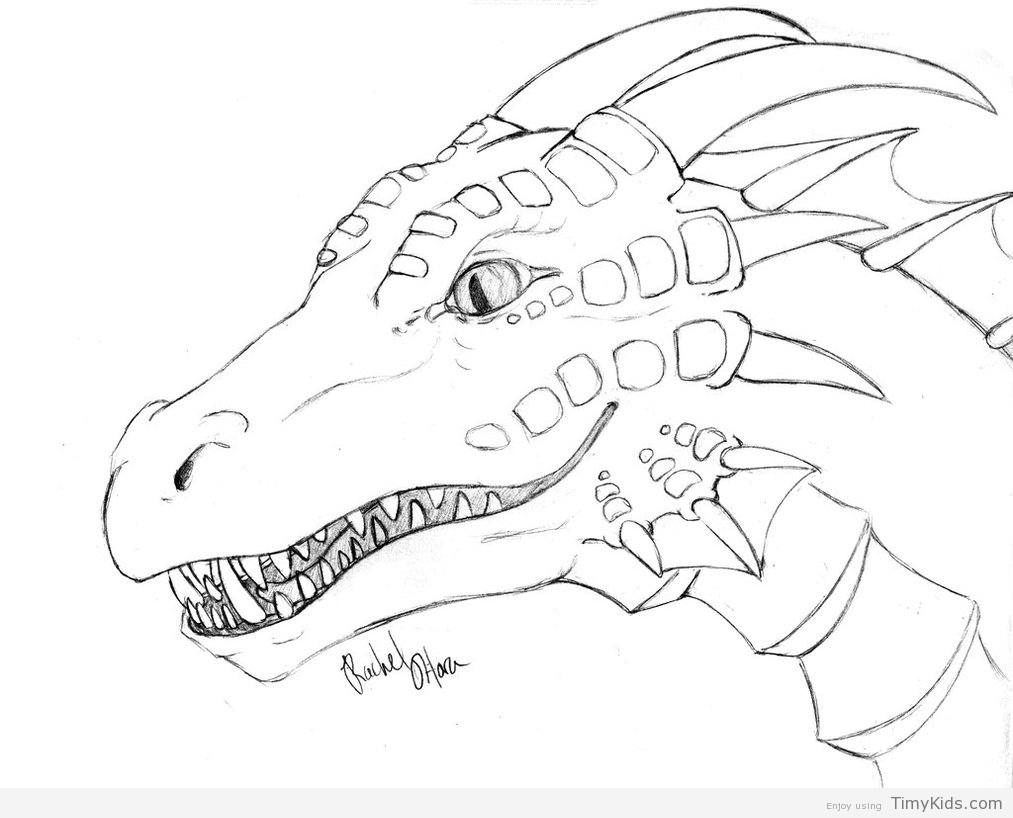 1013x818 New Ninjago Dragons Coloring Pages For Kids April And Picture