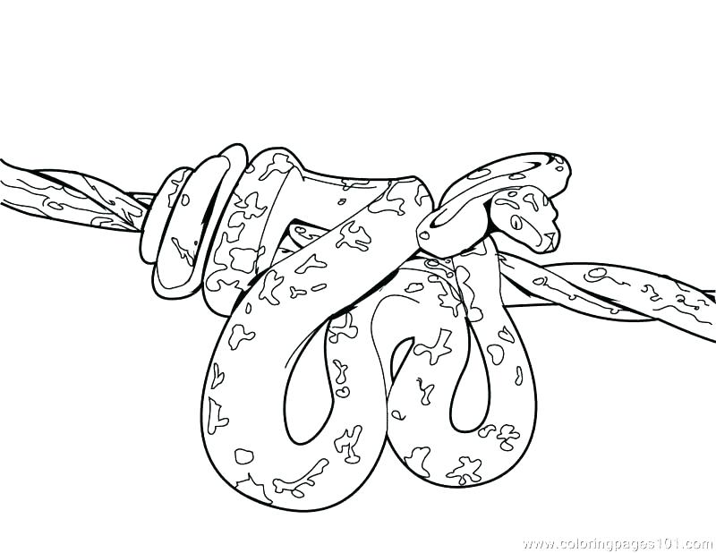 800x618 Lego Ninjago Snake Coloring Pages Rattlesnake Coloring Pages