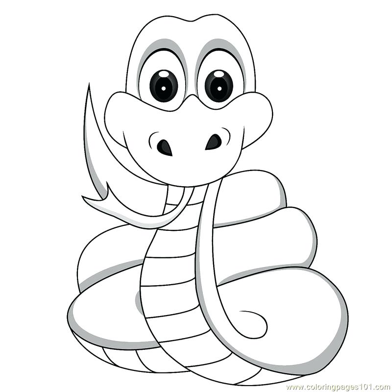 800x800 Snake Coloring Pages Coloring Pages Of Snakes Snake Coloring Pages