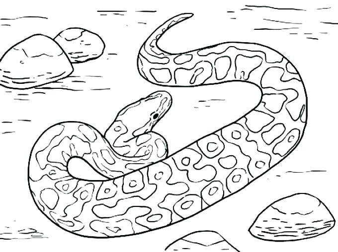 680x508 Snake Coloring Pages Snake Colouring Pages Coloring Sheets