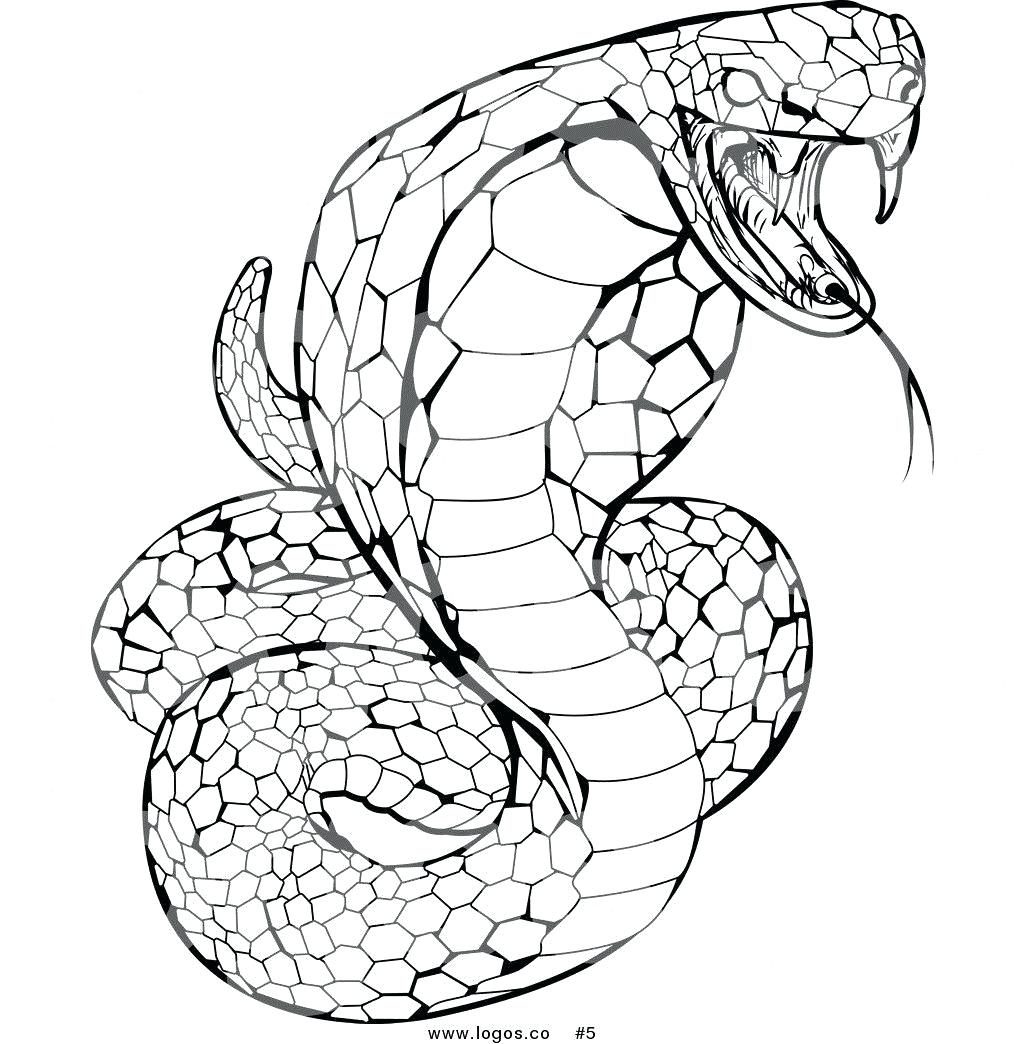1024x1044 Coloring Pages Snake Coloring Pages Top Page Snapshot Ninjago