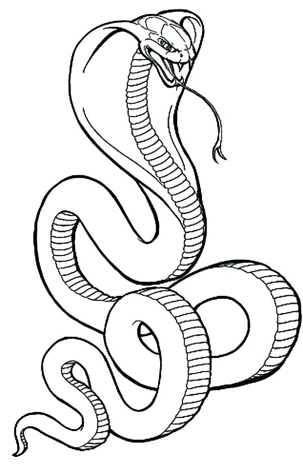 600x937 Coloring Page Snake Snake For Coloring Snake Coloring Book As Well