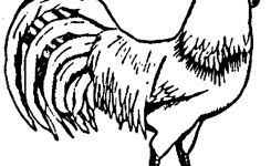 245x150 Free Coloring Pages Of Nissan Skyline New Coloring Sheets