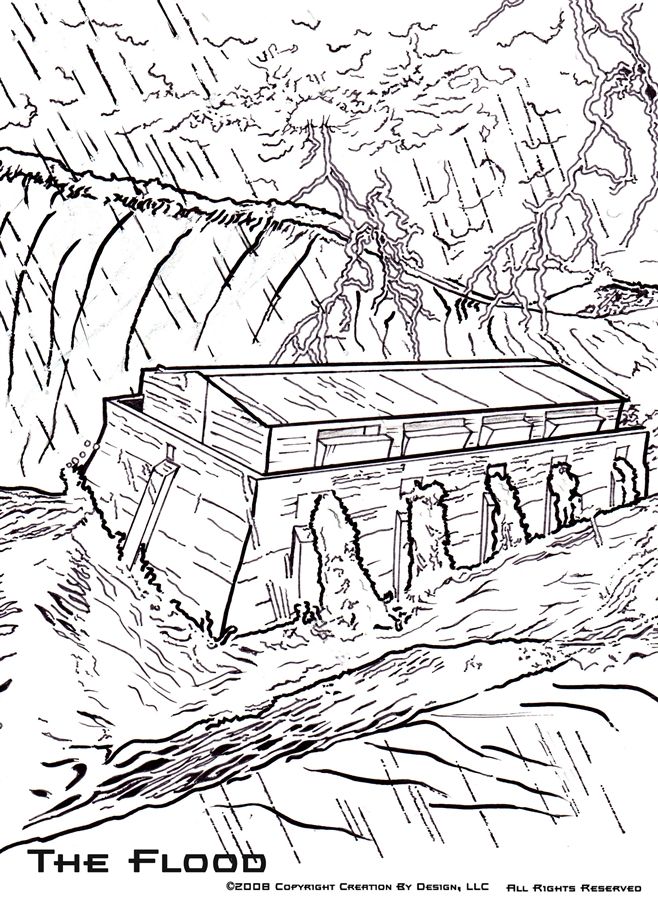 658x900 Flood Coloring Pages