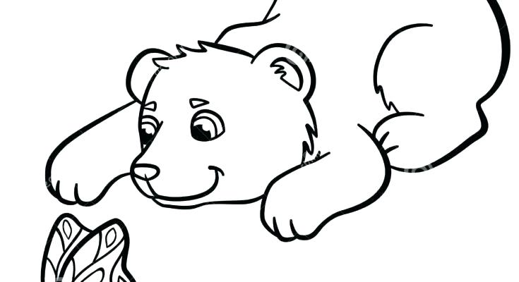 735x400 Wild Animal Coloring Pages Nocturnal Animals Coloring Pages Wild