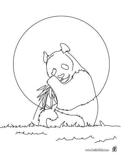 387x500 Coloring Pages Animal Color Pages Nocturnal Animals Coloring