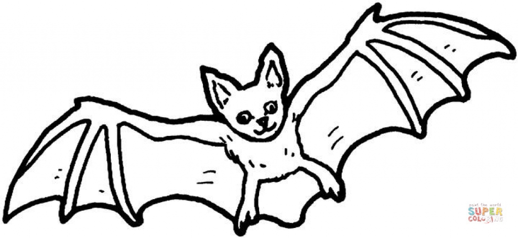 1024x471 Nocturnal Animals Coloring Pages Bat Coloring Page Free