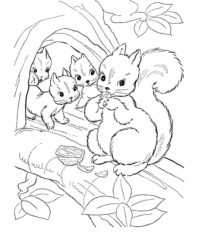 670x820 Wild Animal Coloring Pages Icontent