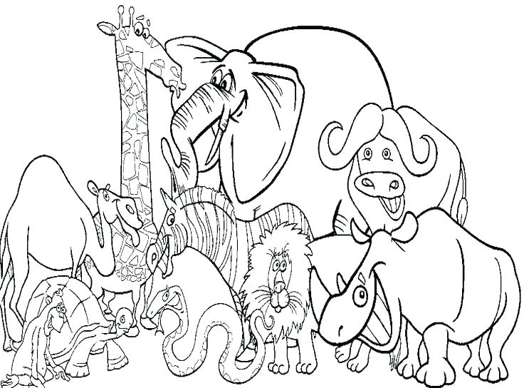 736x544 Coloring Animal Pages For Printing Animal Coloring Pages To Print