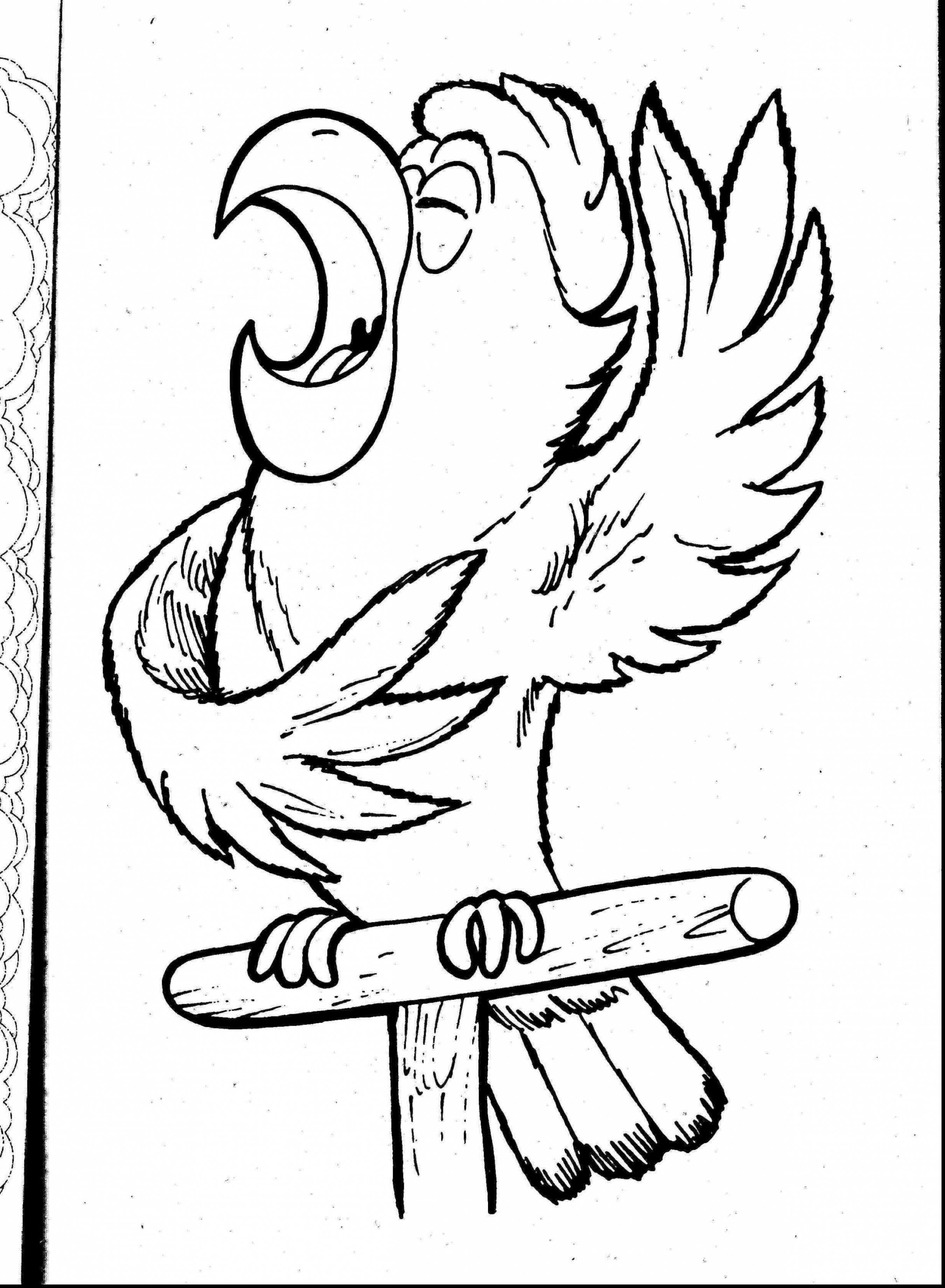 2699x3677 North America Coloring Page Cute North American Beaver Coloring