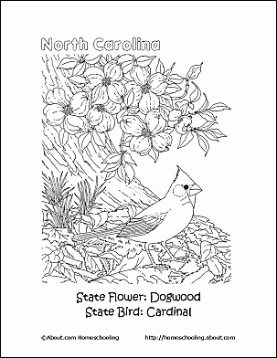 303x392 Mountain Coloring Pages Printables Appalachian Mountains