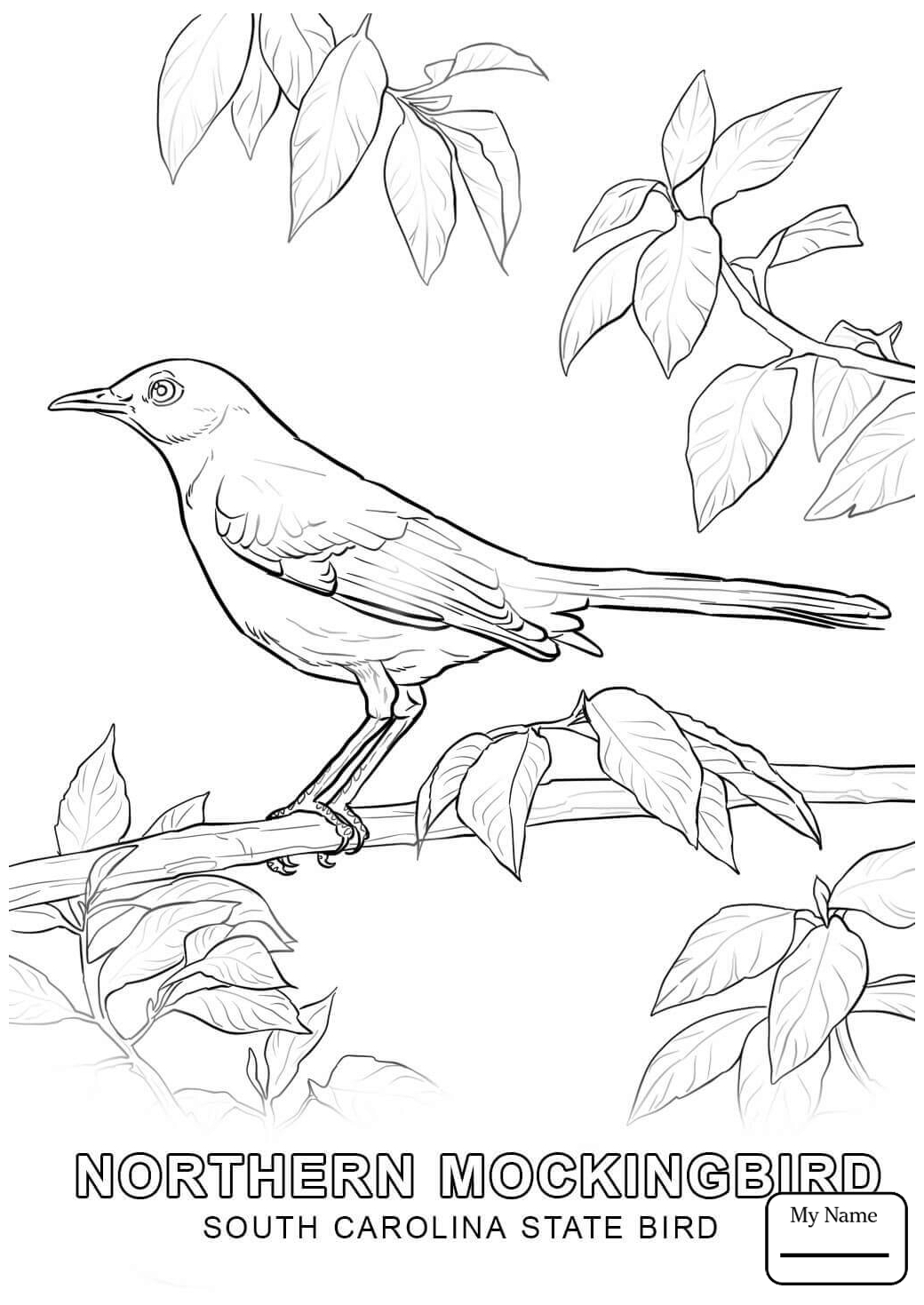 1040x1469 Countries Cultures South Carolina Flag Of In Coloring Page