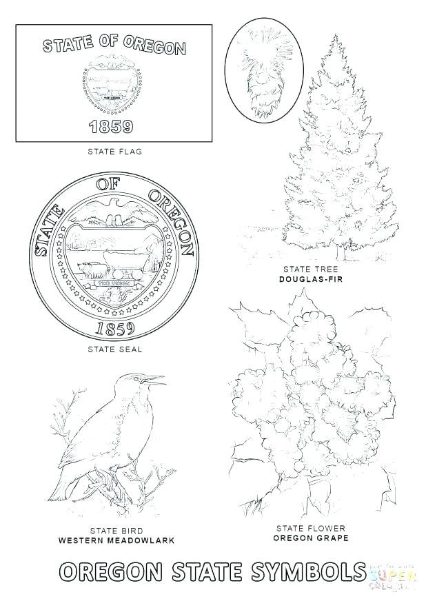 618x872 Florida State Flag Coloring Page State Symbols Coloring Page