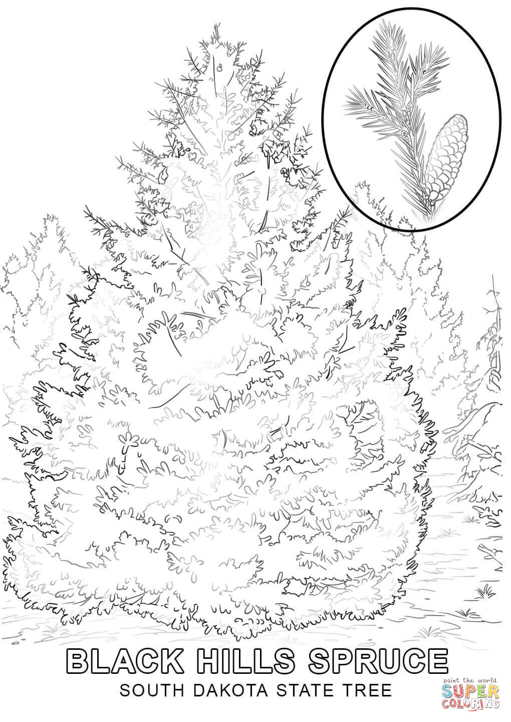 1020x1440 North Dakota State Symbols Coloring Page Inside