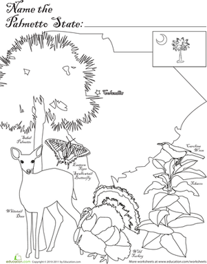 301x383 Palmetto State Worksheet