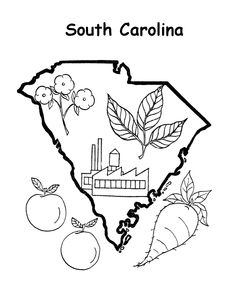 235x288 South Carolina State Symbol Coloring Page