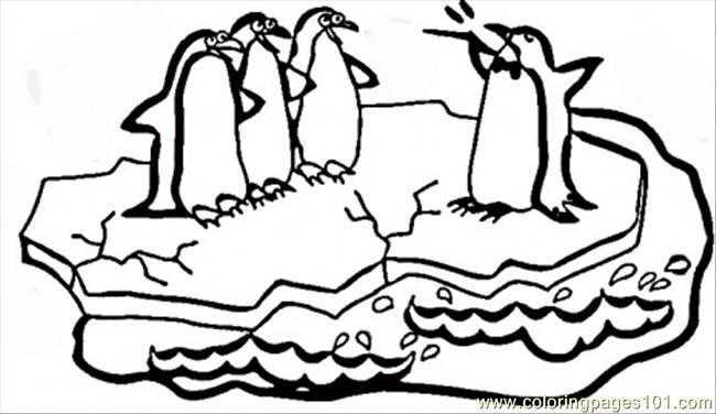 650x376 Singing Penguins Coloring Page