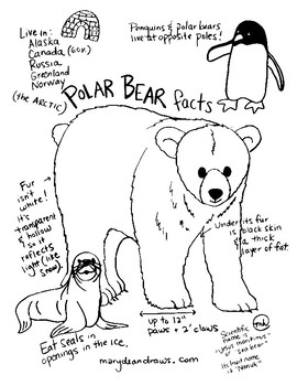 270x350 Fun Facts About Polar Bears Free Hand Drawn Printable Coloring Page