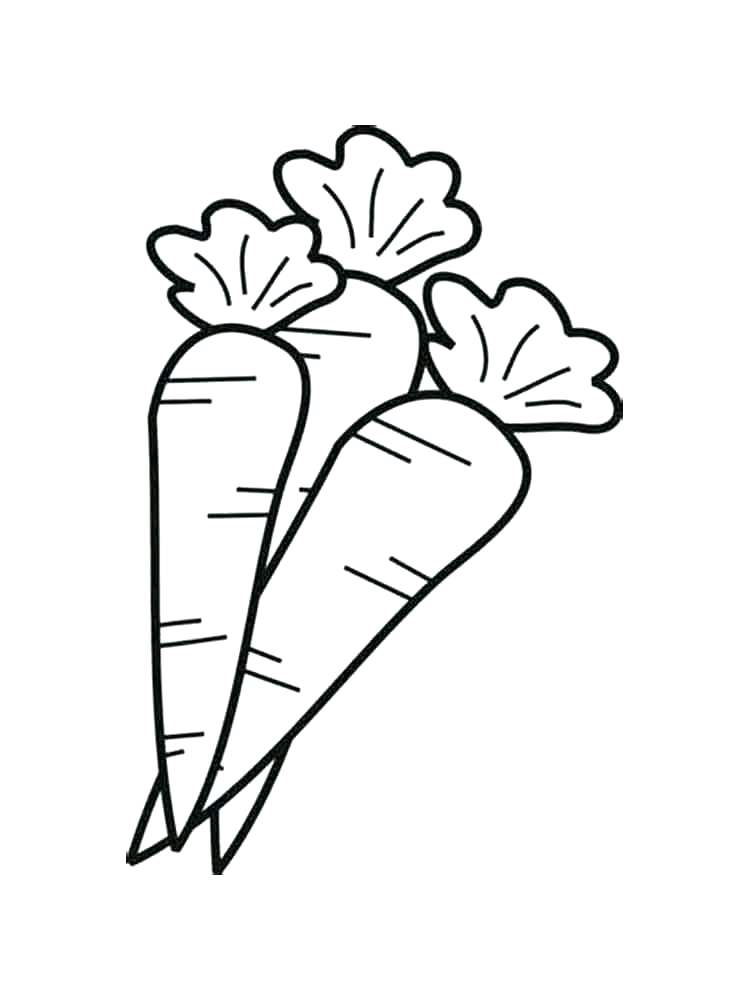 750x1000 Carrot Coloring Page Carrot Coloring Pages Vegetables Page Rabbit