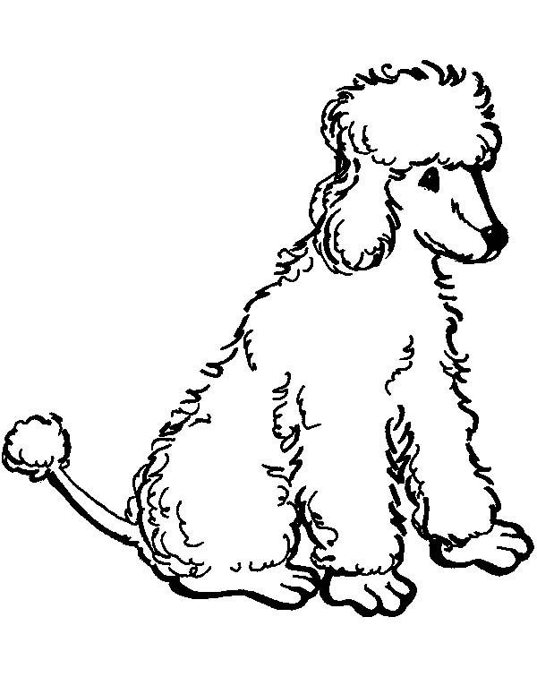 600x756 Poodle Coloring Pages Elegant Coloring Sheets Nova S Standard