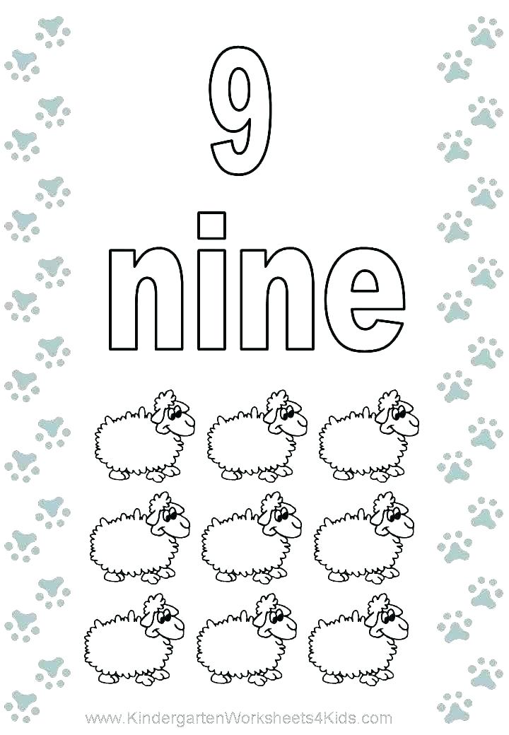 720x1040 Number Coloring Page