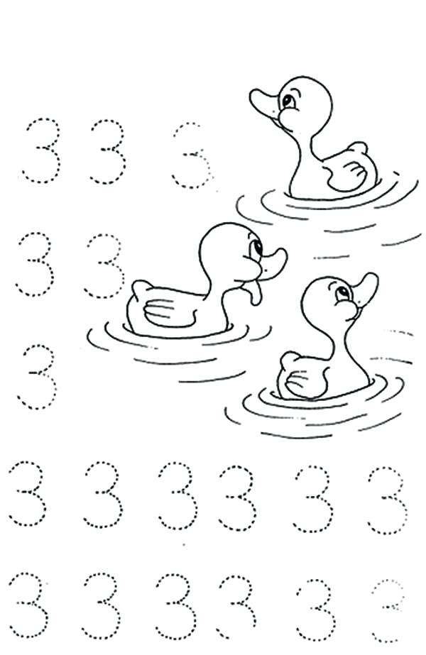 600x923 Number Coloring Page Color
