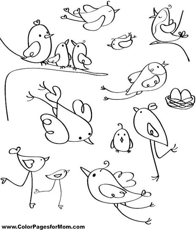 640x752 Bird Coloring Page Colouring Pics Dibujo
