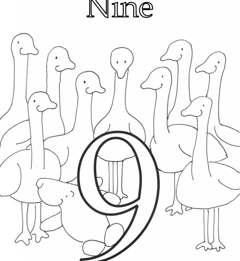 794x864 Numbers Coloring Pages How To Draw Number Free Printable Kids