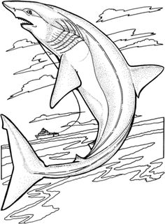 236x321 Sea Creature Coloring Pages Free Printable, Embroidery And Patterns