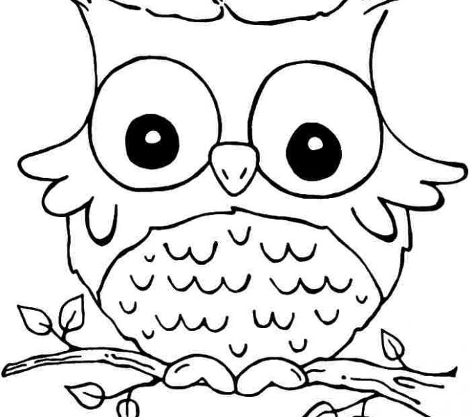 678x600 Printable Coloring Pages Of Animals Kids Coloring Page