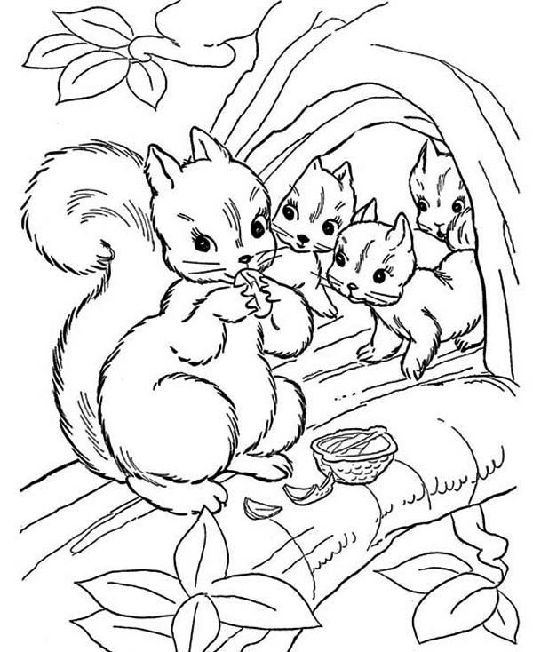 600x734 Squirrel, Squirrel Eating Nut With Her Children Coloring Page