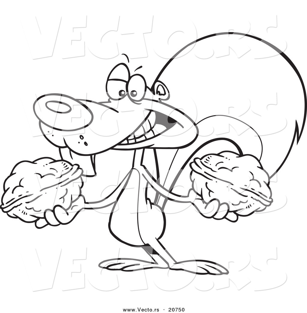 1024x1044 Vector Of A Cartoon Squirrel Holding Two Nuts