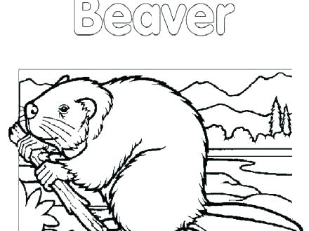 440x330 Yankees Coloring Pages Awesome Of Baseball Coloring Pages Stock Ny