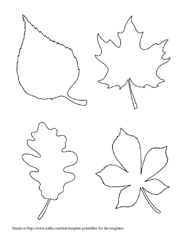 612x792 Oak Leaf Coloring Page Jungle Leaves Coloring Pages Oak Oak Leaves