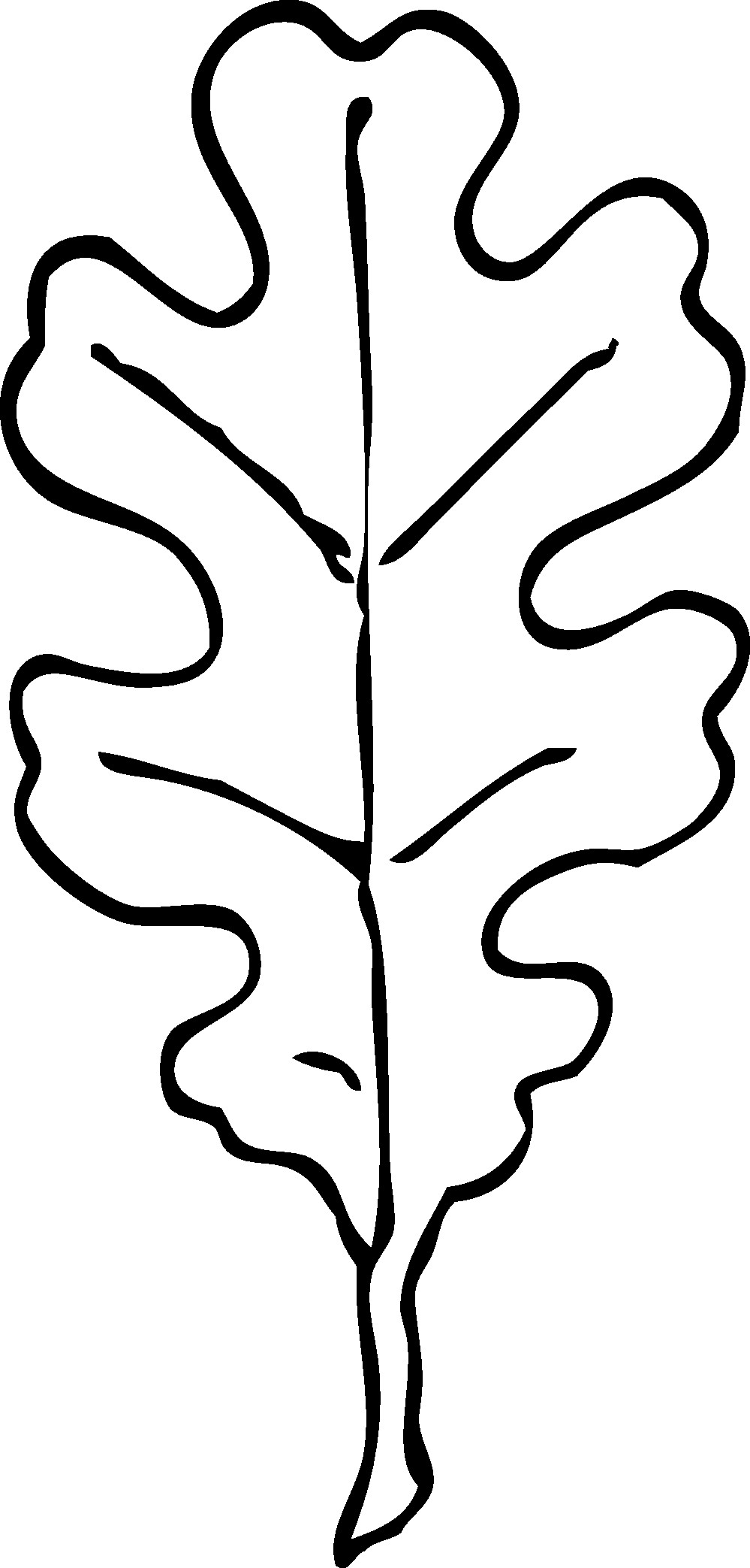 999x2086 Oak Leaf Nature Coloring Page For Kids Beautiful Leaf Outlines