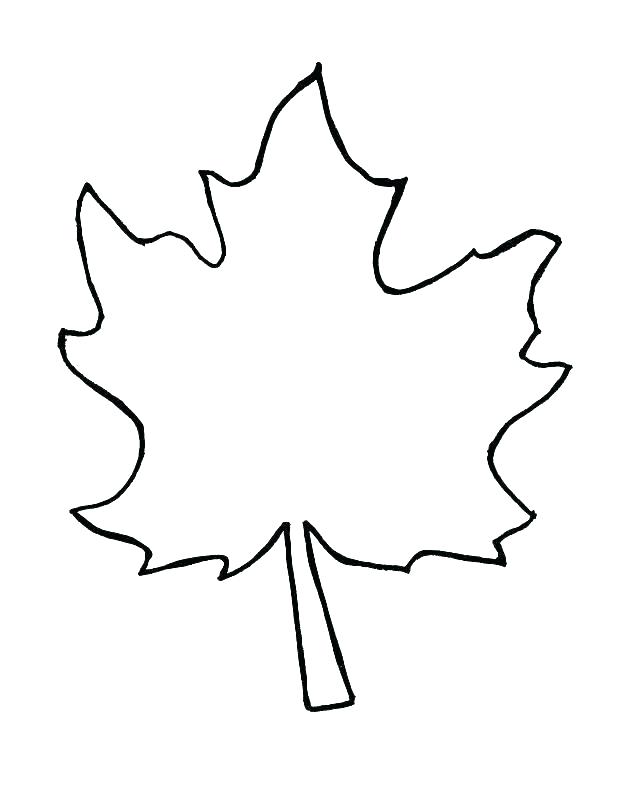640x789 Oak Leaves Coloring Pages Printable Leaf Template Color Fall Free