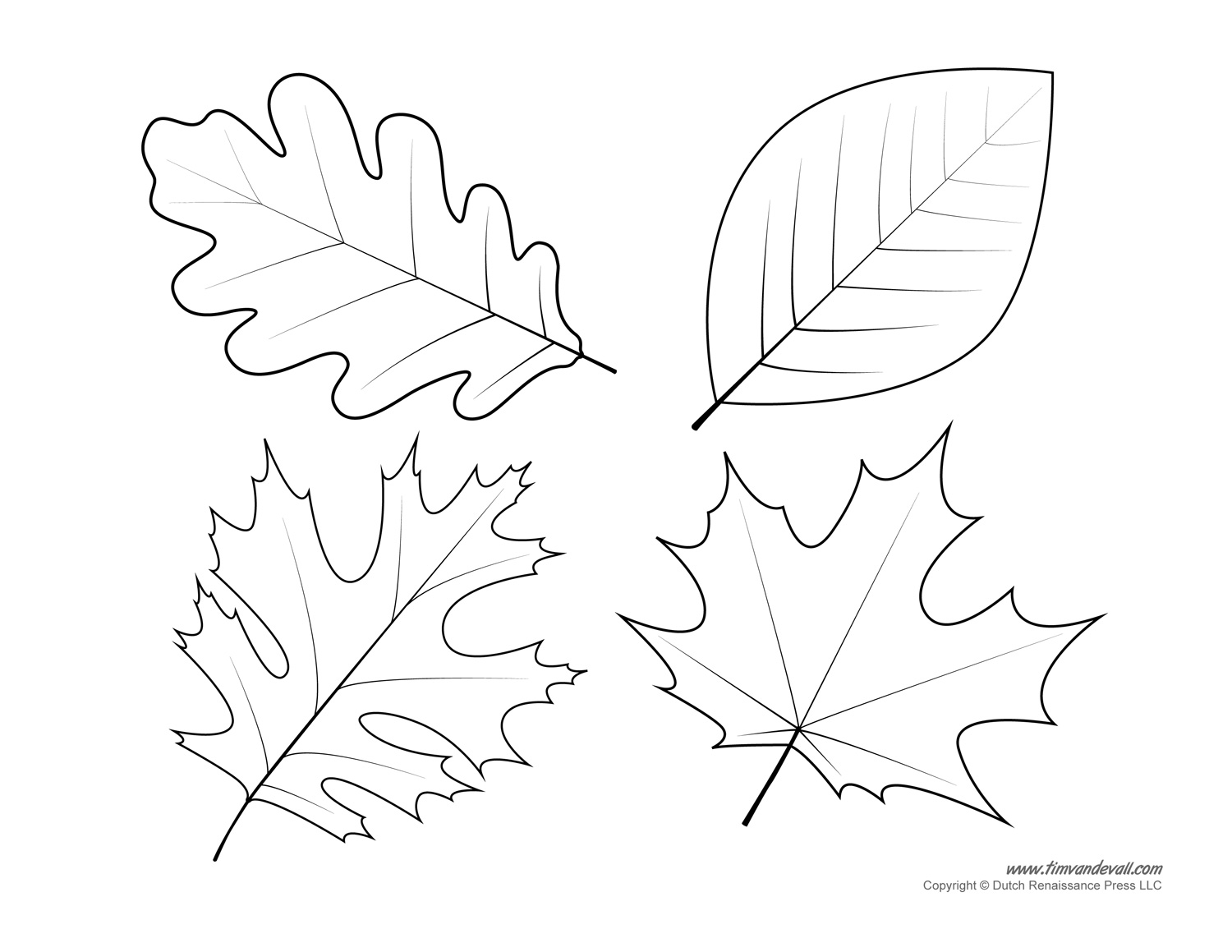 1500x1159 Popular Leaf Cut Out Templates Perspective Pri